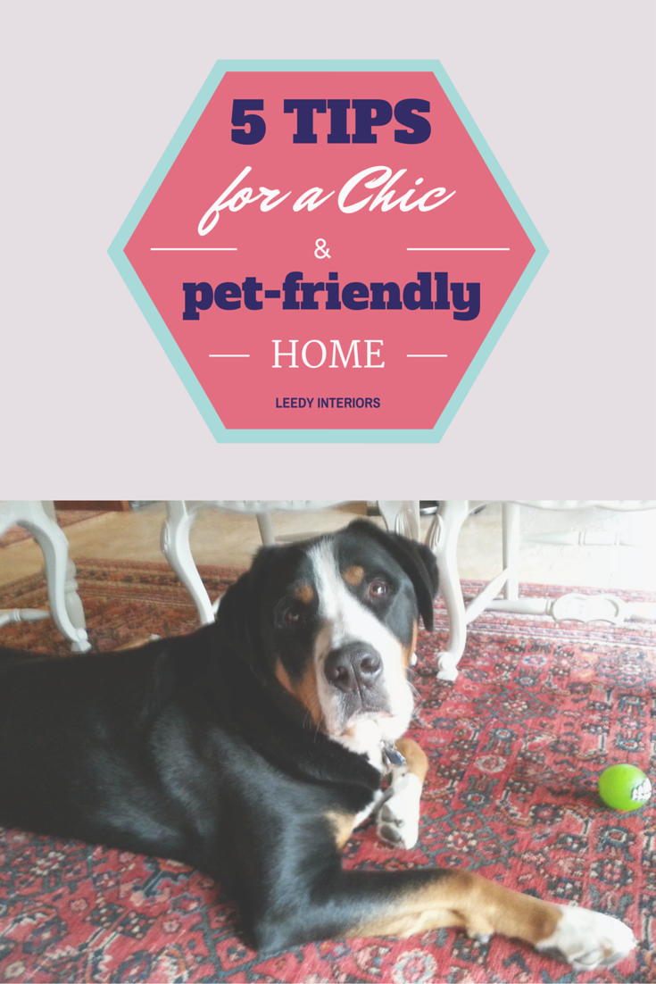 Tips for a Chic Pet-Friendly Home