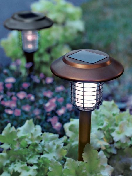 outdoor space interior design insect zapper