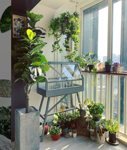 indoor garden design trend, small plants on floor in corner, blue terrarium, hanging plants above terrarium, large plant in wood base. 