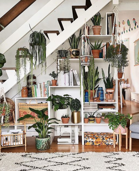 indoor garden interior design trend, plants on stairs, cubby filled with plants and books, plants on floor. 