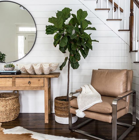 white wall paneling interior design trend, with with large plant, woven basket, wooden desk with decor, and brown leather chair. 